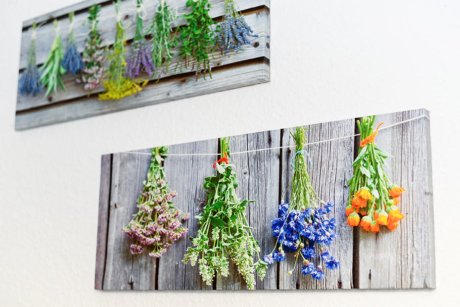 Ferienwohnung „Seestern“ - Wohnraum mit integrierter Küche