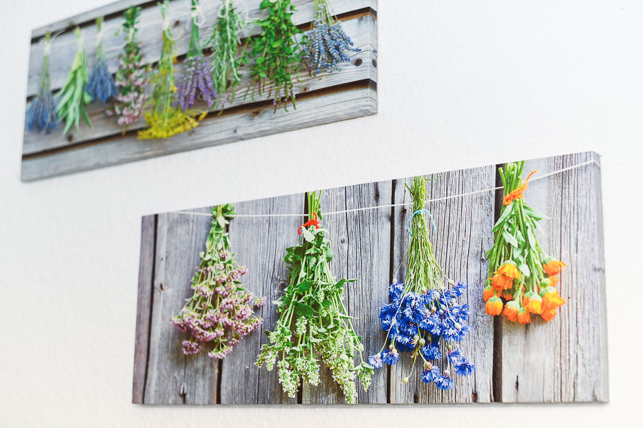 Ferienwohnung „Seestern“ - Wohnraum mit integrierter Küche