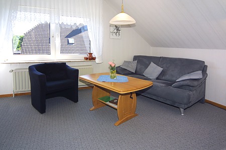 Apartment - Wohn- und Schlafraum