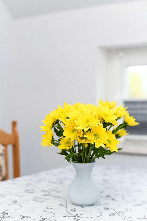 Ferienwohnung „Nordmoor“ - Wohnküche