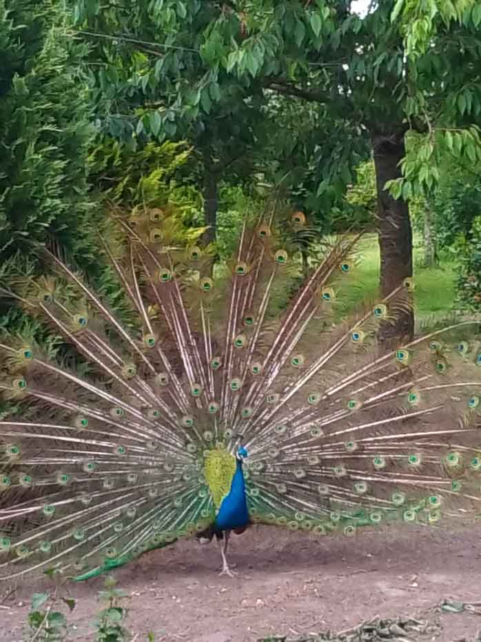 Ferienwohnung „Spielwiese“ - Beispielfoto