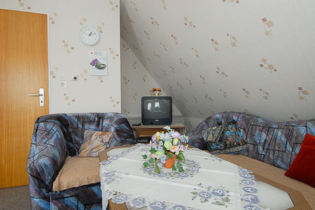 Ferienwohnung „Schwalbe“ - Wohnzimmer mit integriertem Küchenbereich