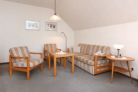 Ferienwohnung 3 - Wohnzimmer mit integriertem Küchenbereich