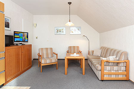 Ferienwohnung 3 - Wohnzimmer mit integriertem Küchenbereich