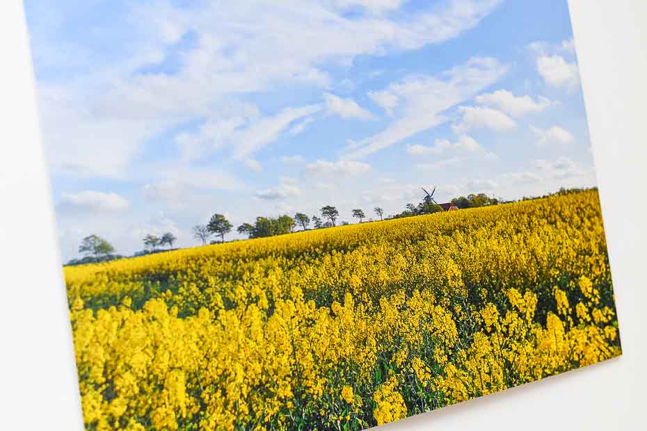Ferienwohnung „Rapsblüte“ - Wohnzimmer mit integriertem Küchenbereich