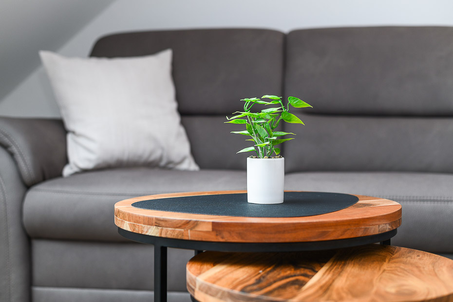 Ferienwohnung „Upkammer“ - Wohnzimmer mit integriertem Küchenbereich