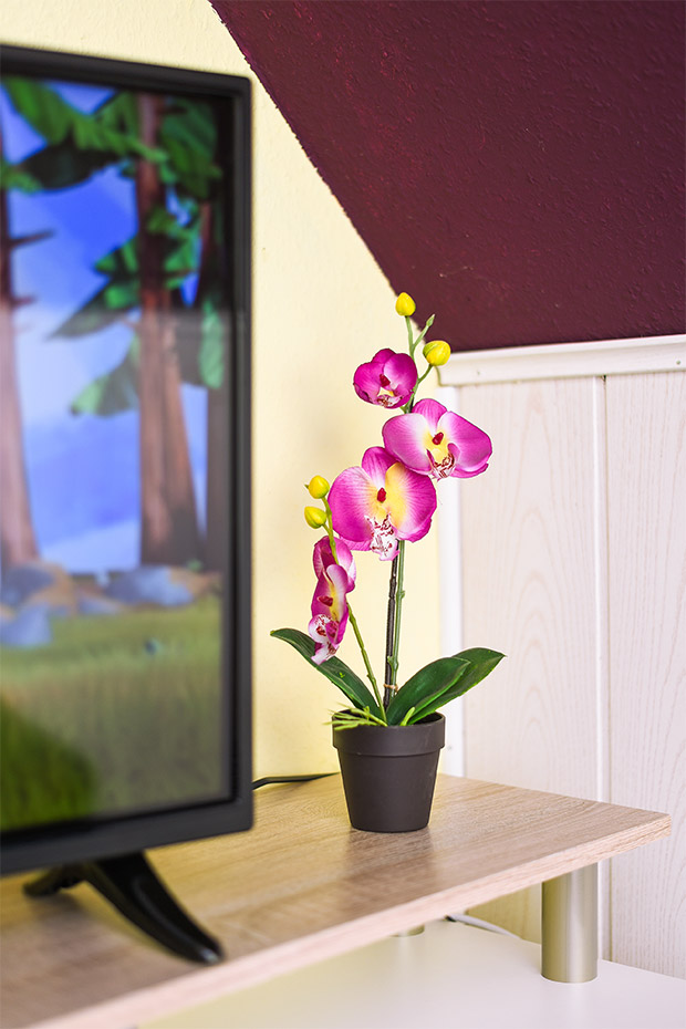 Ferienwohnung „Haus Seemöwe“ - Wohnraum mit integrierter Küche