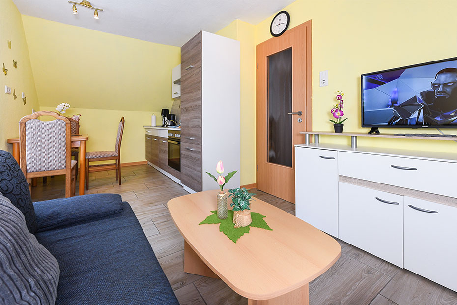 Ferienwohnung „Haus Seemöwe“ - Wohnraum mit integrierter Küche