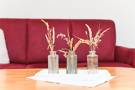 Ferienwohnung „Kegelrobbe“ - Wohnzimmer mit integriertem Küchenbereich