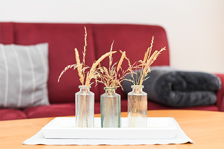 Ferienwohnung „Seehund“ - Wohnzimmer mit integriertem Küchenbereich