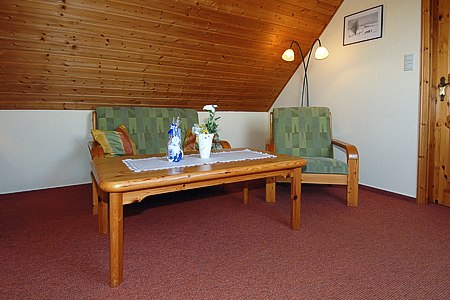 Apartment „Seeadler“ - Wohn- und Schlafraum mit integriertem Küchenbereich