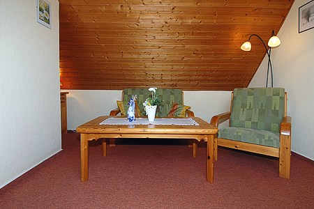 Apartment „Seeadler“ - Wohn- und Schlafraum mit integriertem Küchenbereich