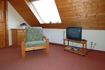 Apartment „Seeadler“ - Wohn- und Schlafraum mit integriertem Küchenbereich