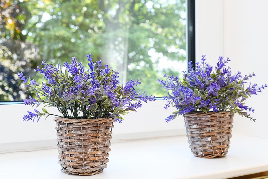 Ferienwohnung „Ost“ - Wohnzimmer mit integriertem Küchenbereich