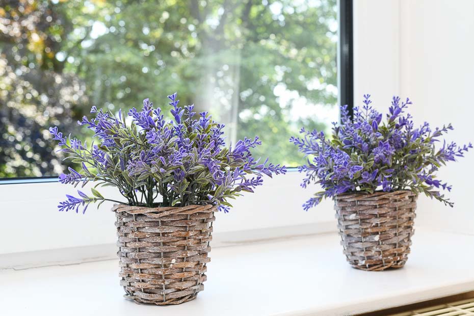 Ferienwohnung „Ost“ - Wohnzimmer mit integriertem Küchenbereich