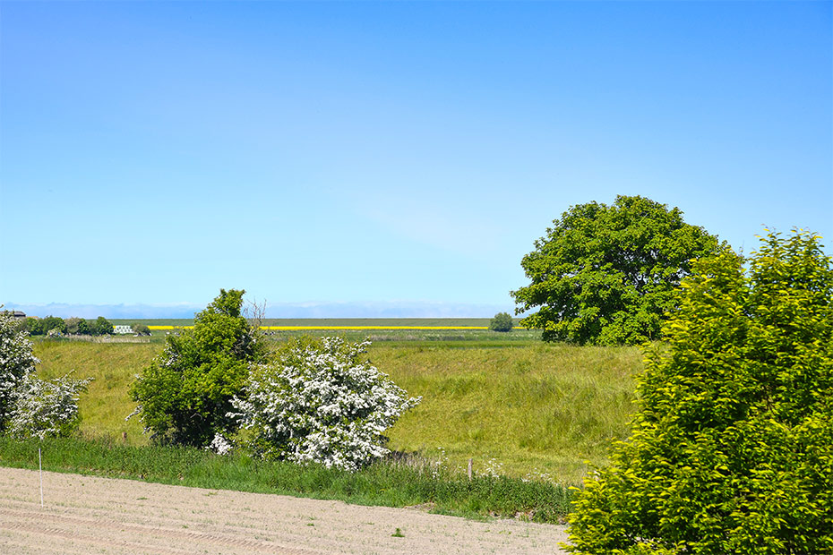Ferienwohnung „Taubenschlag“ - Aussicht vom Balkon