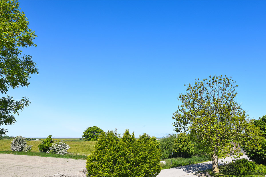 Ferienwohnung „Taubenschlag“ - Aussicht vom Balkon