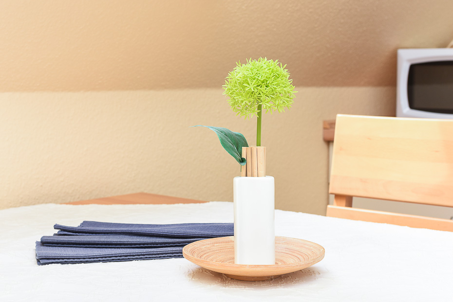 Ferienwohnung „Seeadler“ - Wohnzimmer mit integriertem Küchenbereich