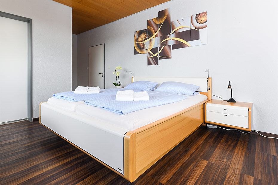 Apartment 02 - Wohn- und Schlafraum mit integriertem Küchenbereich