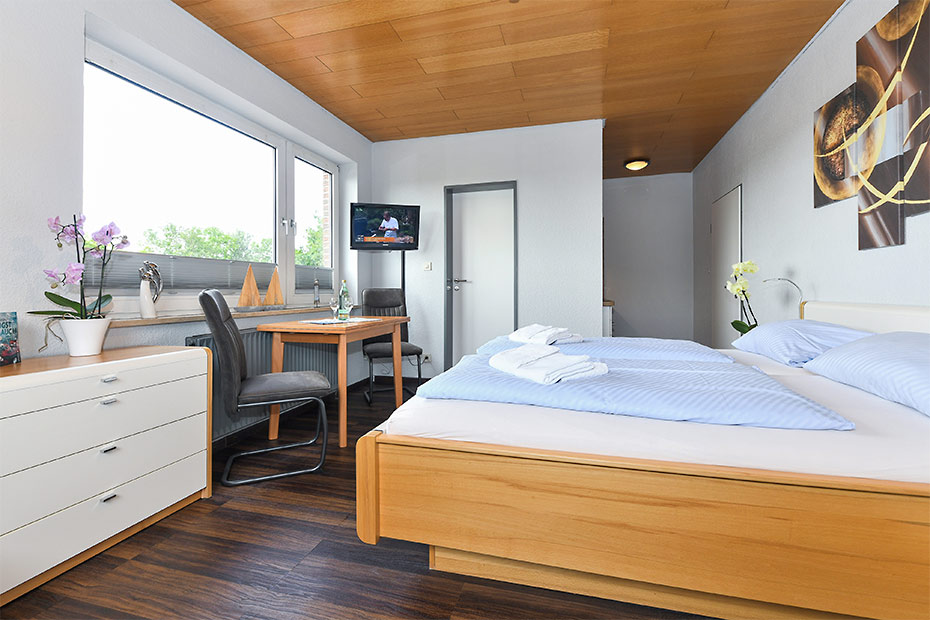 Apartment 02 - Wohn- und Schlafraum mit integriertem Küchenbereich