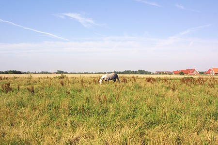 Ferienwohnung <span style='display:none'> </span> - Ihr Ausblick: Wiesen und Felder in freier Sicht