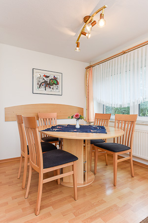 Ferienwohnung 5 - Wohnzimmer mit integriertem Küchenbereich