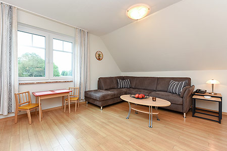 Ferienwohnung „Wiesenblick“ - Wohnzimmer mit integriertem Küchenbereich