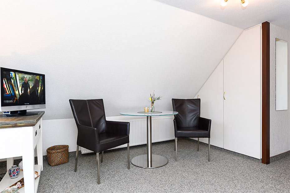 Apartment 7 - Wohn- und Schlafraum mit integriertem Küchenbereich