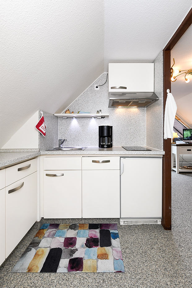 Apartment 7 - Wohn- und Schlafraum mit integriertem Küchenbereich