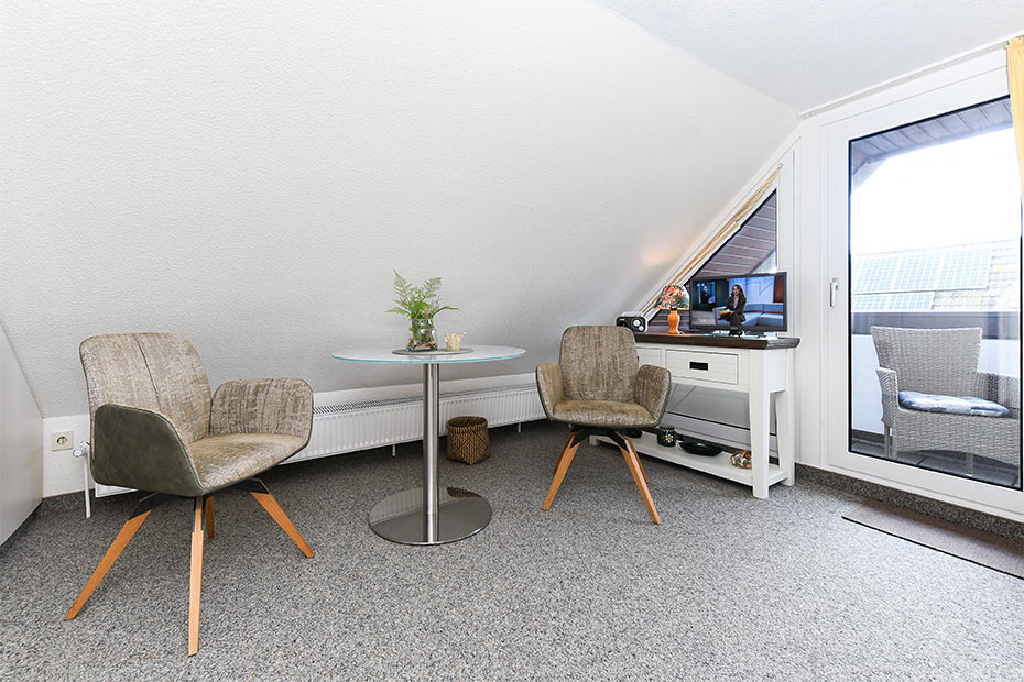 Apartment 8 - Wohn- und Schlafraum mit integriertem Küchenbereich