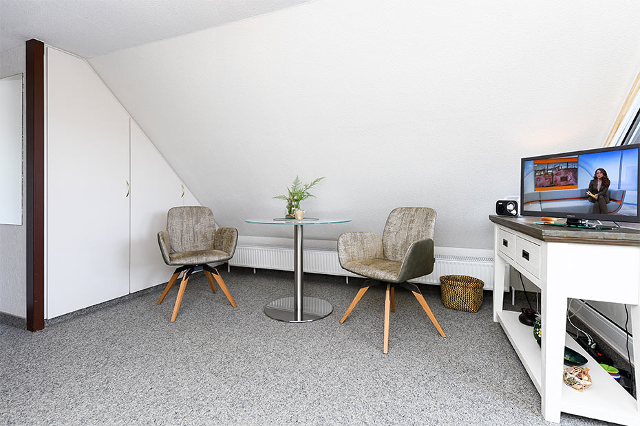 Apartment 8 - Wohn- und Schlafraum mit integriertem Küchenbereich