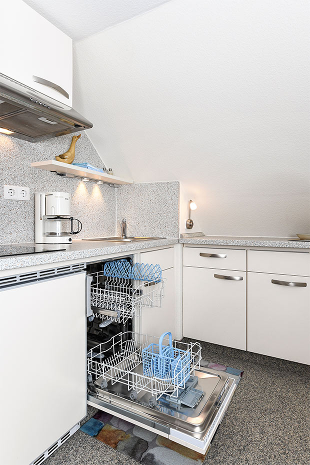 Apartment 8 - Wohn- und Schlafraum mit integriertem Küchenbereich