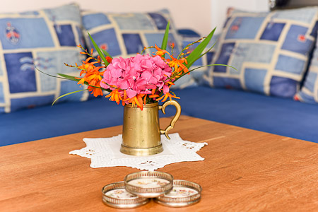 Ferienwohnung - Wohnraum mit integrierter Küche