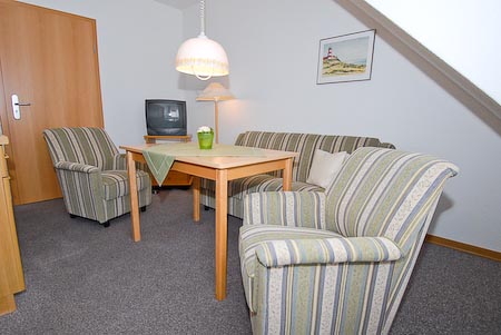 Ferienwohnung 5 - Wohnzimmer mit integriertem Küchenbereich