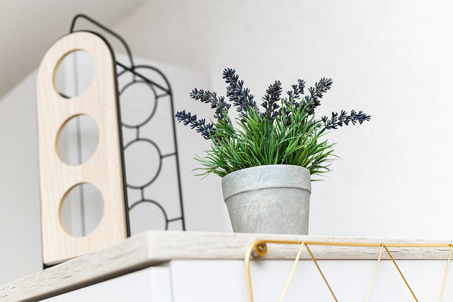 Ferienwohnung - Wohnzimmer mit integriertem Küchenbereich