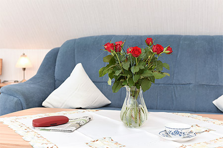 Ferienwohnung 2 - Wohnzimmer mit integriertem Küchenbereich