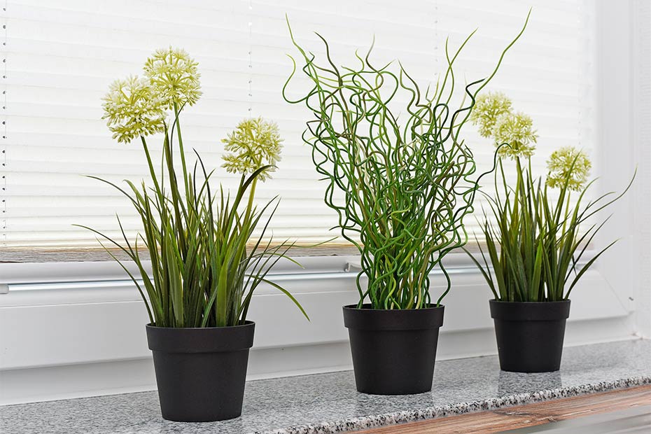 Ferienhaus „Nordseegold“ - Wohnraum mit integrierter Küche