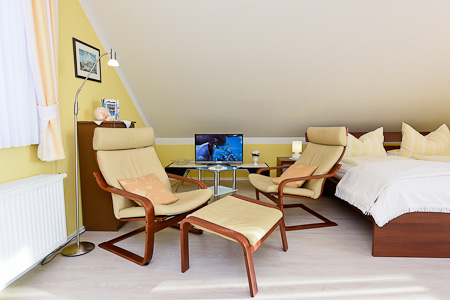 Apartment - Wohn- und Schlafraum mit integriertem Küchenbereich