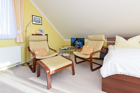 Apartment - Wohn- und Schlafraum mit integriertem Küchenbereich