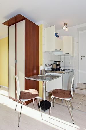 Apartment - Wohn- und Schlafraum mit integriertem Küchenbereich