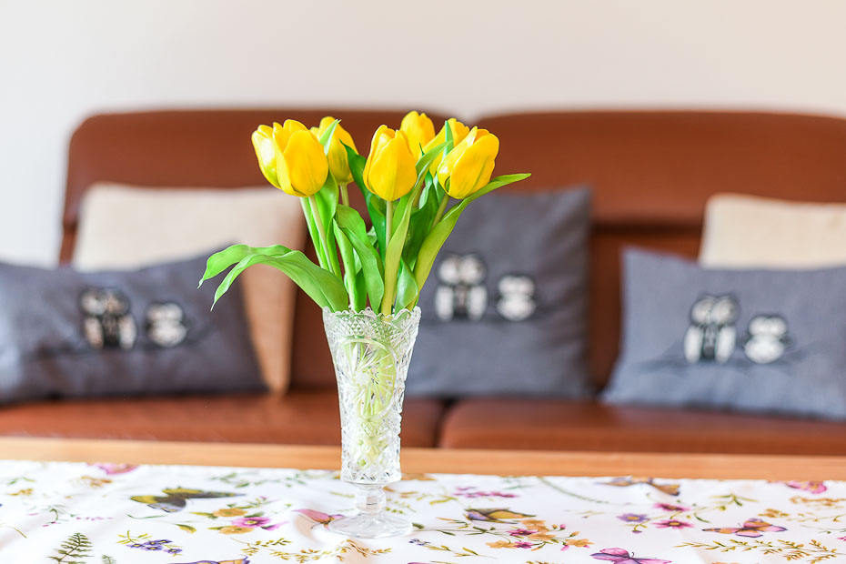 Ferienwohnung „Eulennest“ - Wohnzimmer