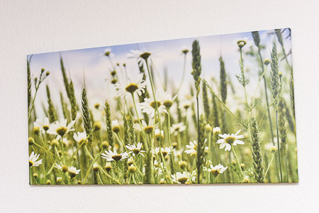 Ferienwohnung „Blumenwiese“ - Wohnraum mit integrierter Küche