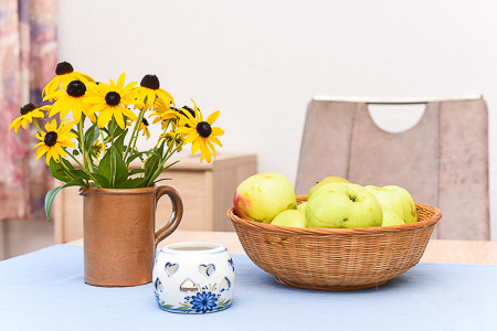 Ferienwohnung „Blumenwiese“ - Wohnraum mit integrierter Küche