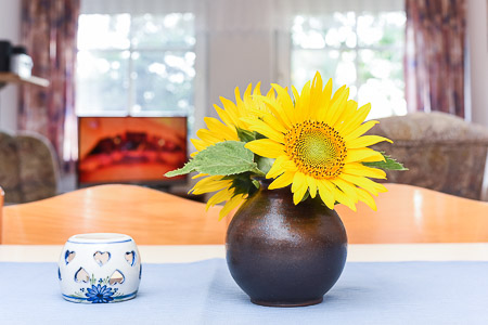 Ferienwohnung „Morgensonne“ - Wohnraum mit integrierter Küche