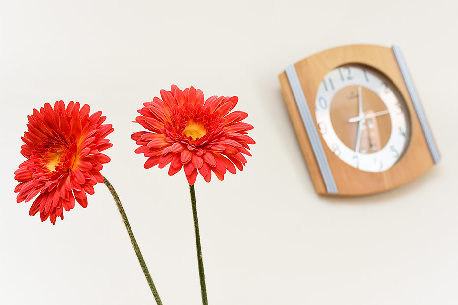 Ferienwohnung „W'ooge“ - Wohnzimmer mit integriertem Küchenbereich