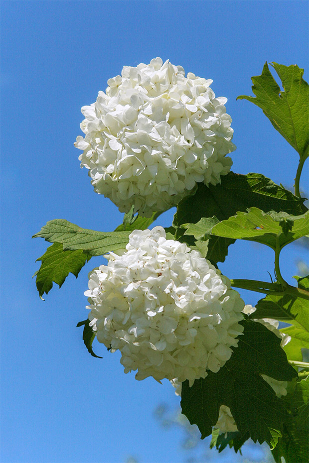 Ferienwohnung „Haus Solea“ - Weitere Garten-Fotos
