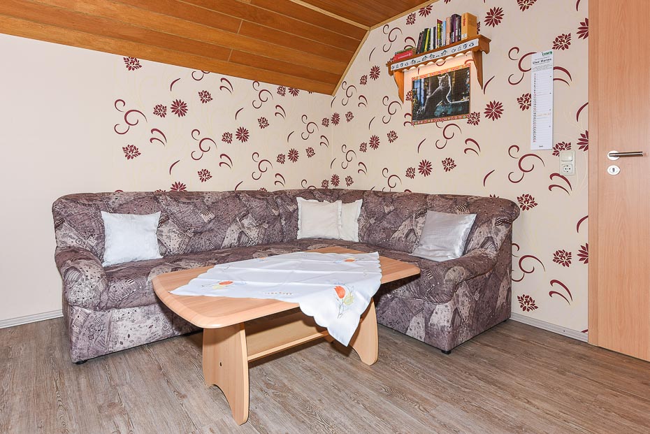 Ferienwohnung „Ilka“ - Wohnzimmer mit integriertem Küchenbereich