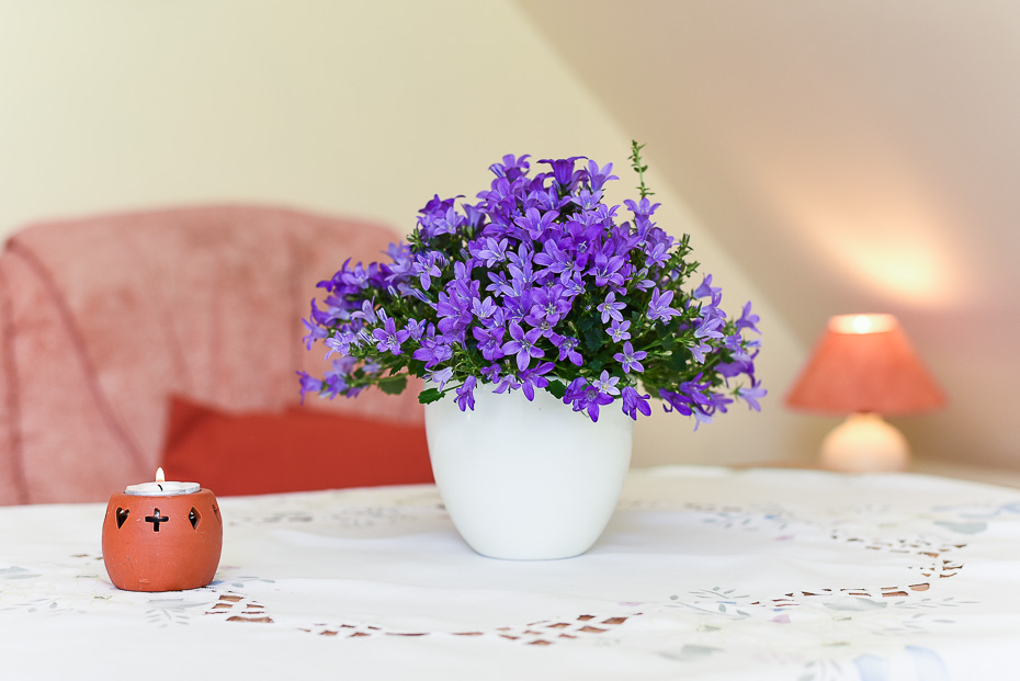 Ferienwohnung „Helgoland“ - Wohnzimmer mit integriertem Küchenbereich