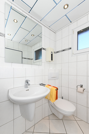Ferienhaus „Friesenperle“ - Badezimmer mit Dusche, Waschtisch und WC