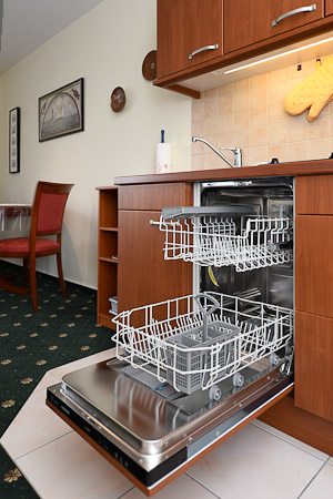 Ferienwohnung „Süderhörn“ - Wohnraum mit integrierter Küche